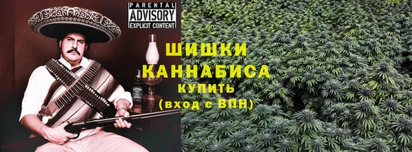 PSILOCYBIN Надым