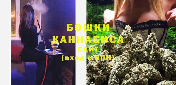 ПСИЛОЦИБИНОВЫЕ ГРИБЫ Усолье-Сибирское
