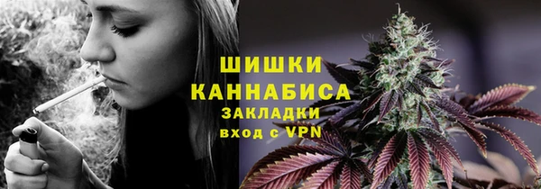 PSILOCYBIN Надым