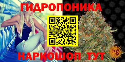 гашиш Гатчина