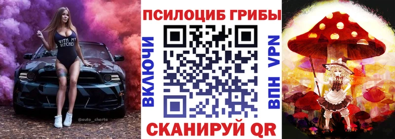 Псилоцибиновые грибы ЛСД  где найти   Нижнеудинск 